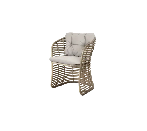Basket chair