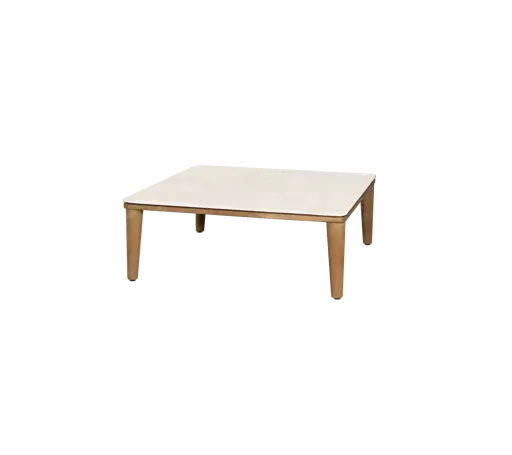 Capture coffee table