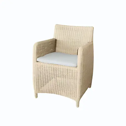 Coco Resin wicker dining armchair