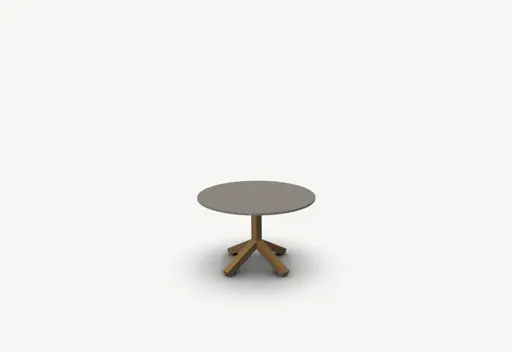 Coffee table Root 046